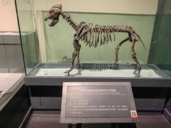 -大庆市博物馆