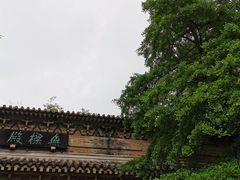-灵谷景区