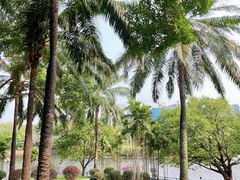 -深圳龙潭公园