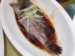 清蒸石斑鱼-燕云楼(云南路店)