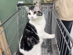 -万达广场(扬州邗江店)