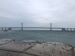 -星海广场