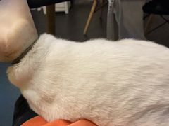 -Doors独立剧情密室(东门分店)