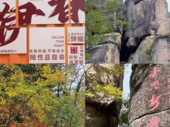 -五营红松林海景区