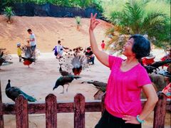 -西双版纳勐泐文化旅游区