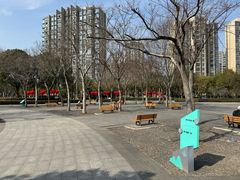 -南翔镇银翔湖公园