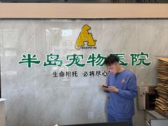 -半岛宠物医院24小时(科华中路店)