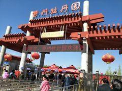 -曹州牡丹园