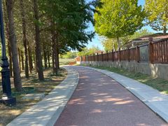 -羊亭河湿地公园