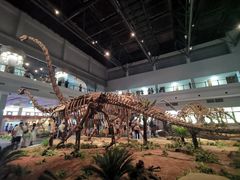 -自贡恐龙博物馆
