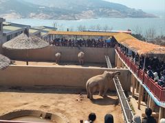 -西霞口神雕山野生动物世界