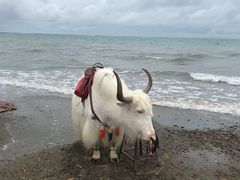 -青海湖国家重点风景名胜区
