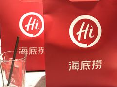 -海底捞火锅(铂澜大象城店)