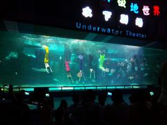 -泉城欧乐堡海洋极地世界