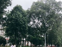 -四川大学(华西校区)