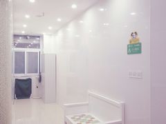 -瑞鹏宠物医院华南总院·夜诊·心脏科·骨科