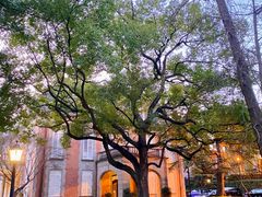 -叶叶菩提·晋福宫