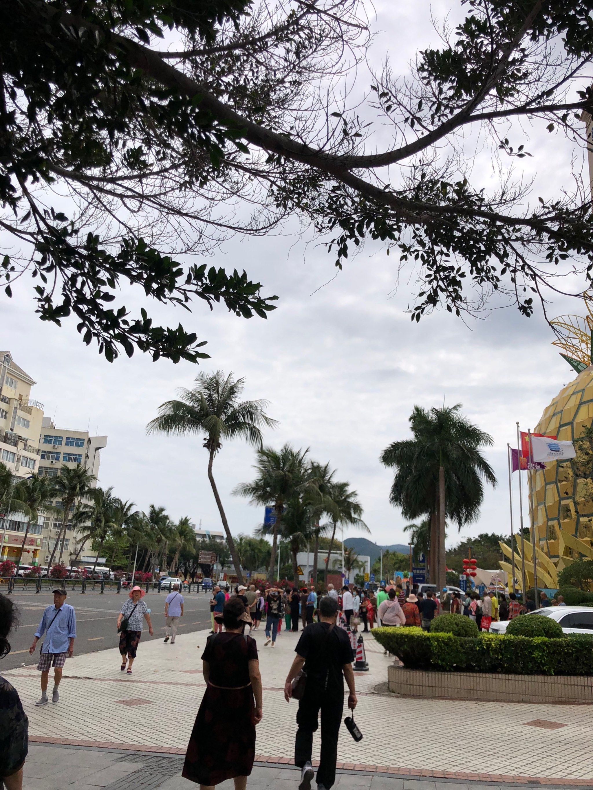 「1号港湾城(大菠萝店)」三亚这边已经看不到年轻人了