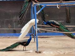 -森林公园(尖草坪区)