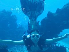 -海棠湾洲际-涛·海底餐厅·美人鱼·自助餐·海底隧道