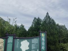 -北京凤凰岭
