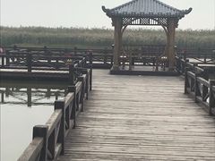-南大港湿地风景区