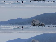 -后海村