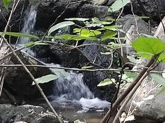 -阳台山自然风景区