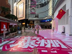 -VT101维多利广场