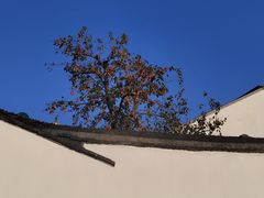 -北寺塔