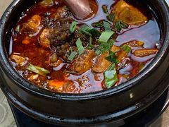 -陈麻婆豆腐(旗舰店)