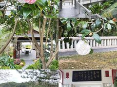 -广东温泉宾馆
