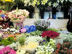 -朝来春花卉市场