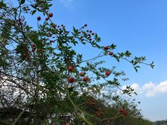 -白鹭湾湿地公园