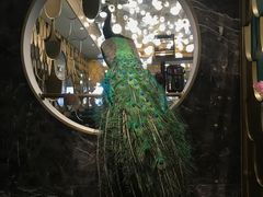 大堂-雀蓝川菜(奥体广场店)