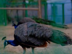 -华东政法大学(松江校区)