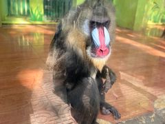 -荆州中山公园动物园