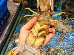 -徐记海鲜(曲江南湖店)