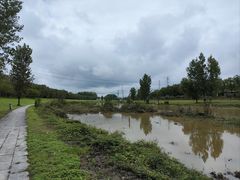 -洨河生态公园