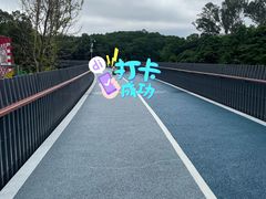 -观澜湖生态运动公社