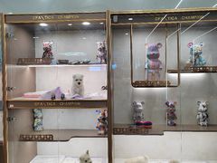 -翊宠yipet猫狗购宠庄园犬舍•猫舍