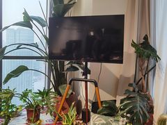 -Thai Basil罗勒叶泰式餐厅(时代天街店)