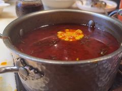-东道煮牛肉火锅(东盛大街店)