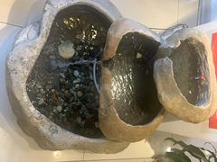 -东兴楼饭庄(六里桥店)