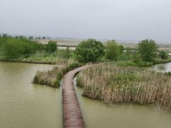 -盐城丹顶鹤湿地生态旅游区