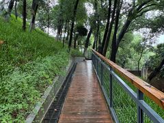 -马王堆汉墓遗址