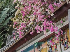 -深圳国际园林花卉博览园