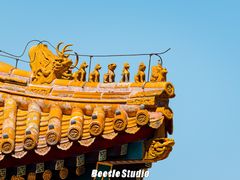 -故宫博物院(故宫)