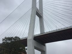 -紫· 割烹  Kappo Murasaki