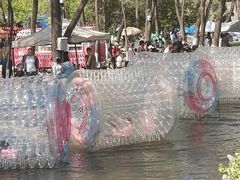 -长白岛森林公园